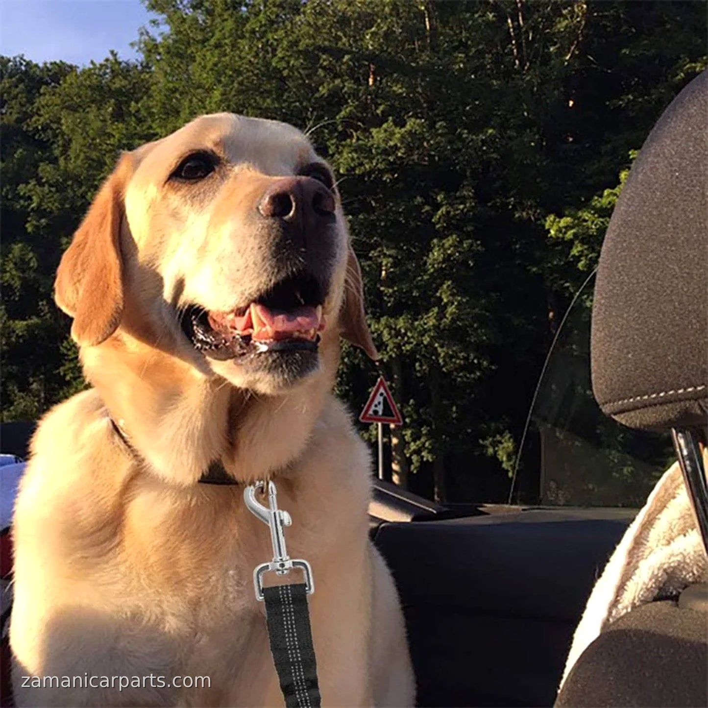 Adjustable Dog Car Seat Belt Harness for Dogs Nylon Reflective Cushioning Elasticity Car Travel Dog Accessories for Dogs